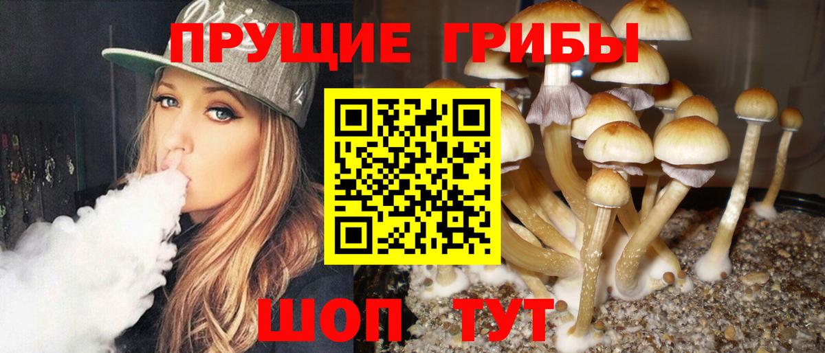 где продают   Вход с VPN  Иваново  Галлюциногенные грибы MAGIC MUSHROOMS 